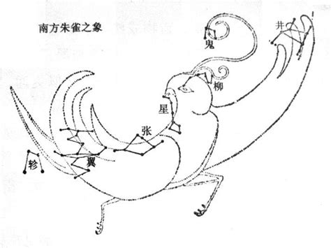 南朱雀 星宿|南方朱雀:出處,文獻記載,神話爭議,道鬥神君,朱雀七宿,。